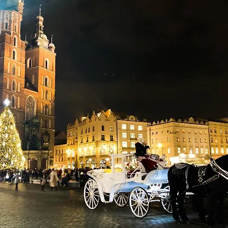 Sare 11 Appartement Cracovie